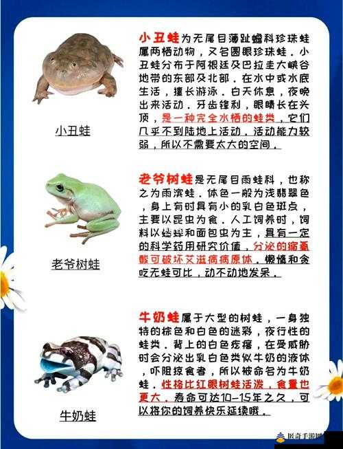 九色蝌蚪窝背后的神秘世界：探索色彩斑斓的生态环境与独特生物多样性